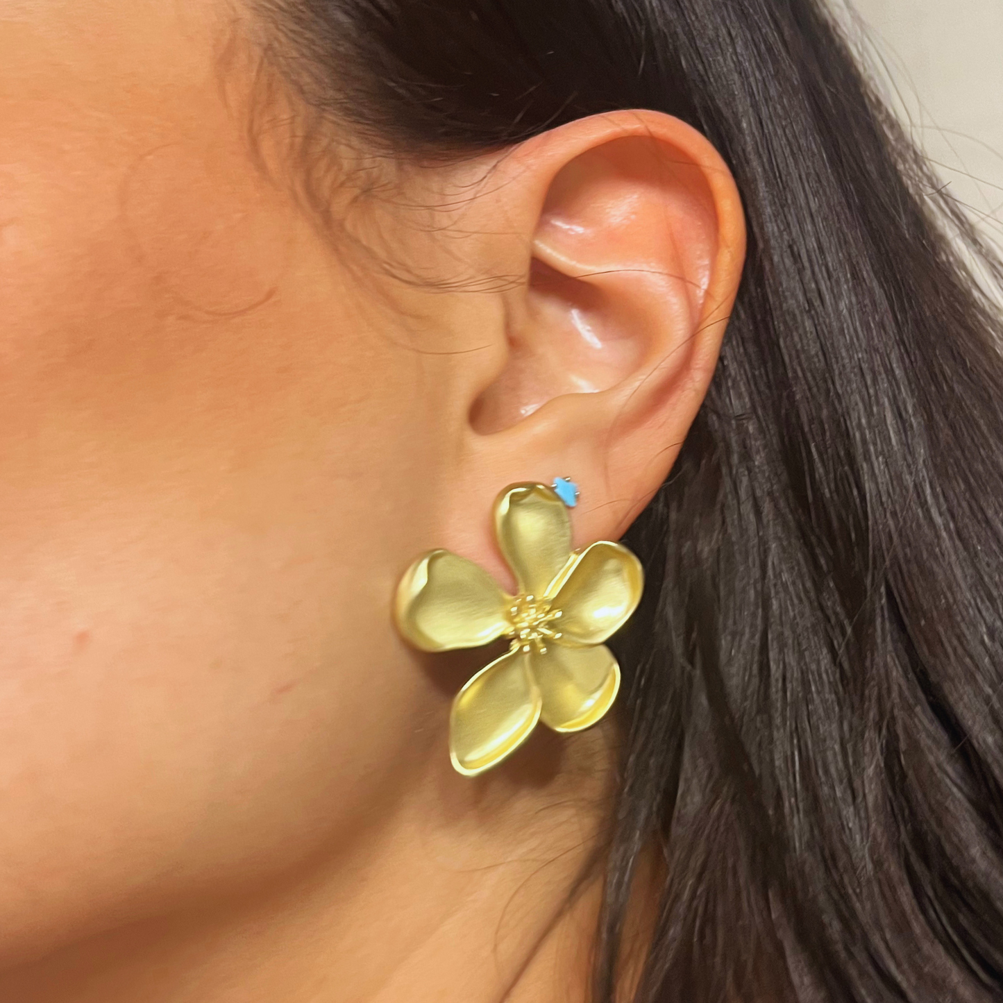 Pendientes Jarilla