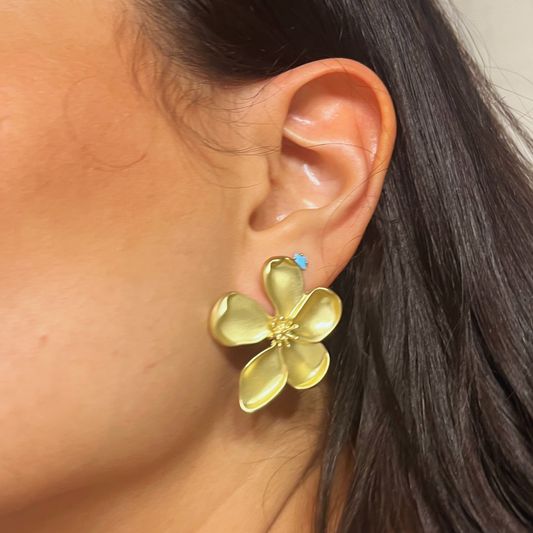 Pendientes Jarilla